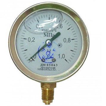 Манометр глицериновый ДМ 05063-05-Г радиальный 600 кПа кл. 2,5 G1/4"