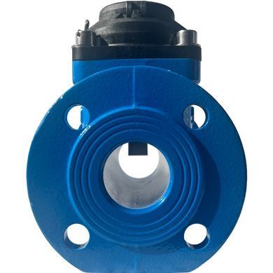 Счётчик воды ирригационный Apator Powogaz WI (Q3 30) Ду 50