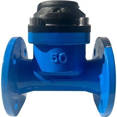 Счётчик воды ирригационный Apator Powogaz WI (Q3 30) Ду 50