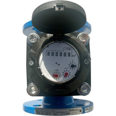 Счётчик воды ирригационный Apator Powogaz WI (Q3 30) Ду 50