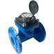 Купить Счётчик воды ирригационный Apator Powogaz WI (Q3 30) Ду 50 фото-1