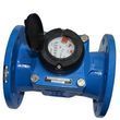 Счётчик холодной воды Apator Powogaz MWN R160 (Q3 100) Ду 80