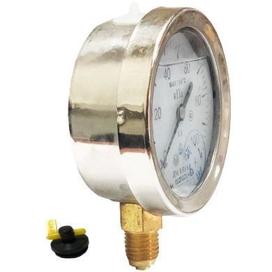 Манометр глицериновый ДМ 05063-05-Г радиальный 100 кПа кл. 2,5 М12x1,5