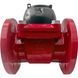 Купить Счётчик холодной воды Gross WPW-UA R100 (Q3 40) Ду 65 фото-3
